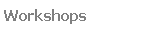 Workshops